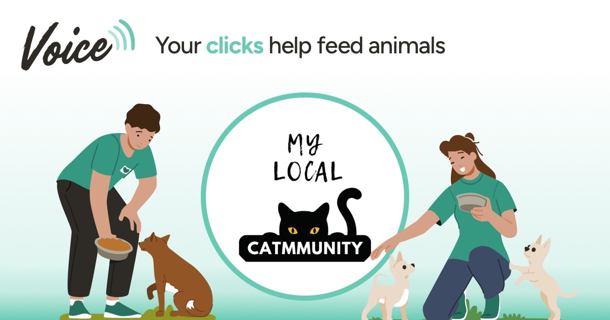 My Local Catmmunity - Voice - Yummypets