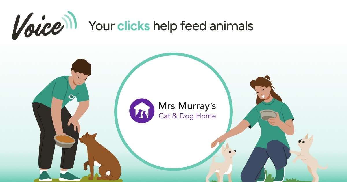 Mrs Murray's Cat and Dog Home - Voice - Yummypets