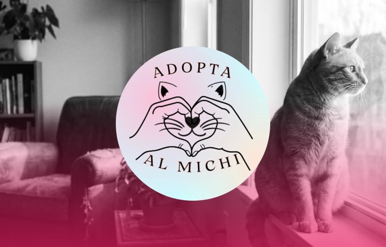 Adopta al Michi