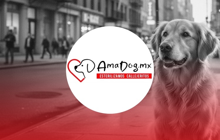 Amadog