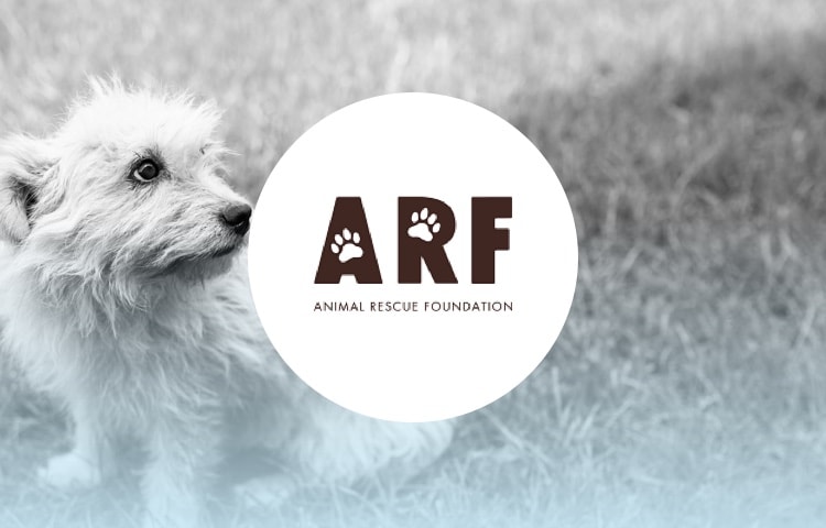 Animal Rescue Foundation (ARF) of Alberta - Voice - Yummypets