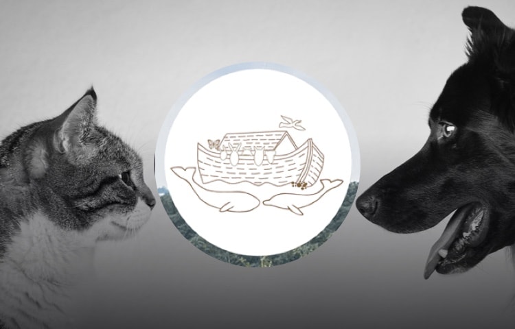 Fundación Calidad de Vida Animal AC