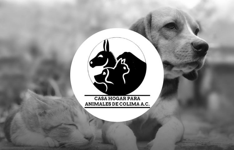 Casa Hogar Animales de Colima