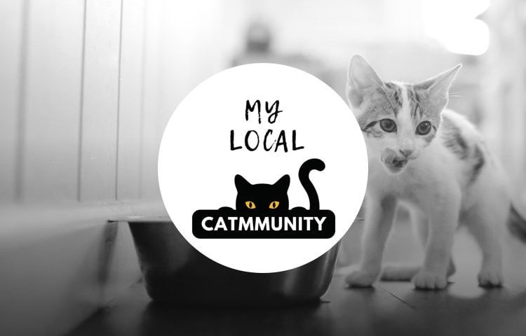 My Local Catmmunity - Voice - Yummypets