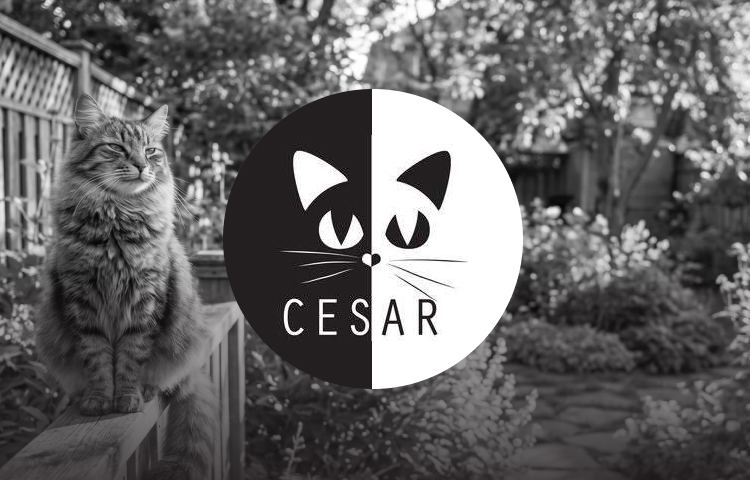 Association Cesar 