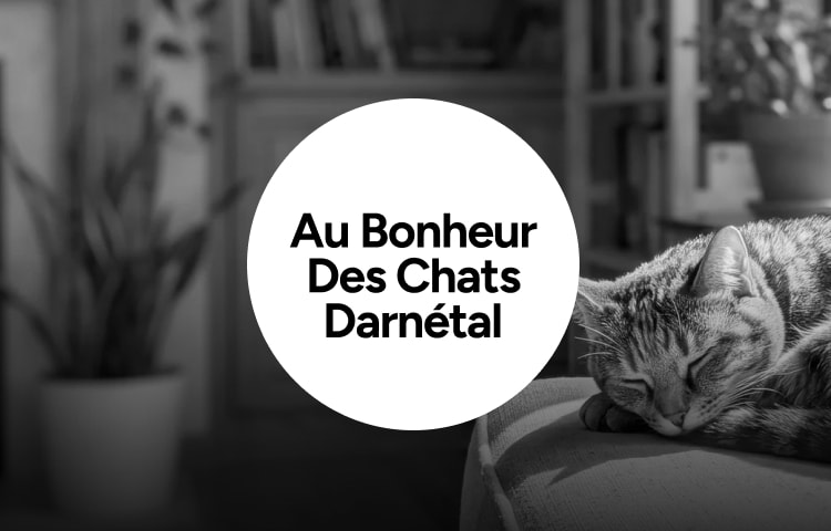 Au Bonheur Des Chats Darnétal