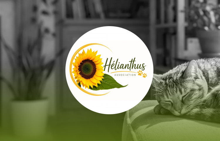 Association Hélianthus