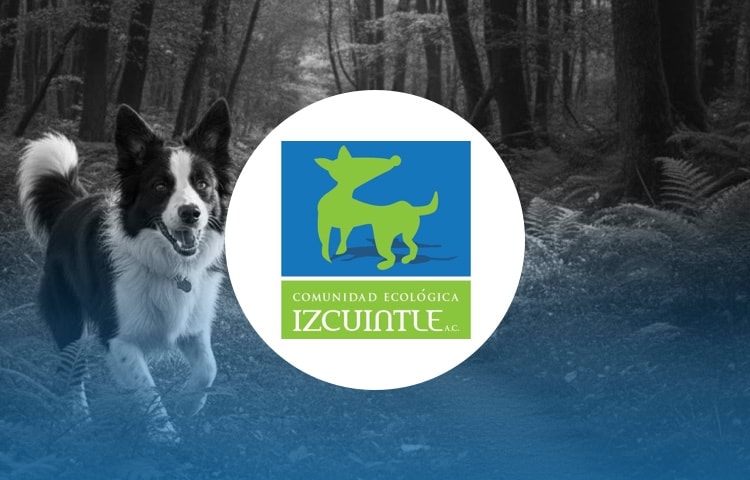 Comunidad Ecológica Izcuintle (CEI)