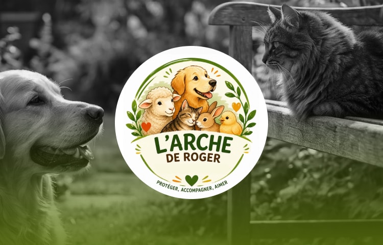 L'Arche de Roger
