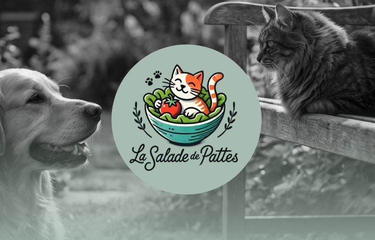 La Salade de Pattes