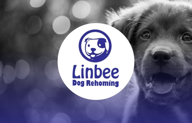 Linbee Syat Linbee Dog Rehoming - Voice - Yummypets