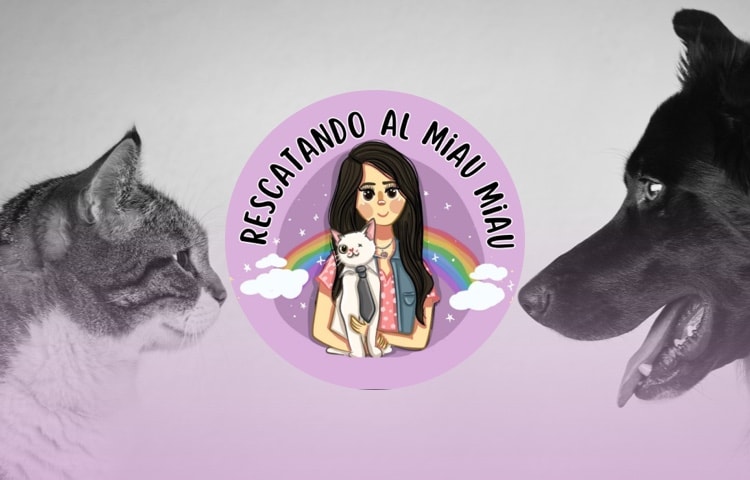 Rescatando al Miau Miau